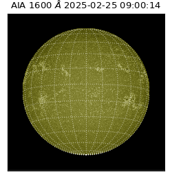 saia - 2025-02-25T09:00:14.125000