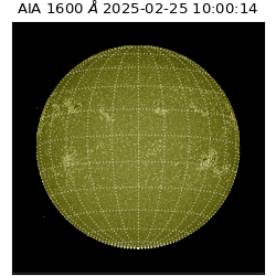 saia - 2025-02-25T10:00:14.125000