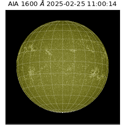 saia - 2025-02-25T11:00:14.129000