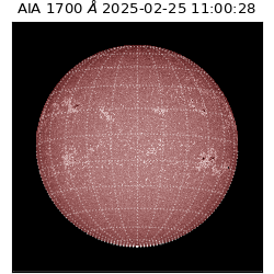 saia - 2025-02-25T11:00:28.717000