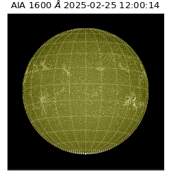 saia - 2025-02-25T12:00:14.126000