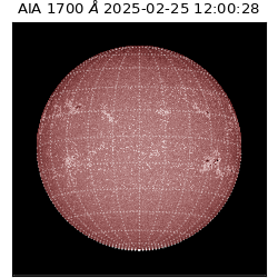 saia - 2025-02-25T12:00:28.717000