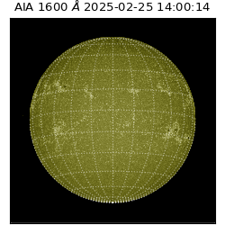 saia - 2025-02-25T14:00:14.126000