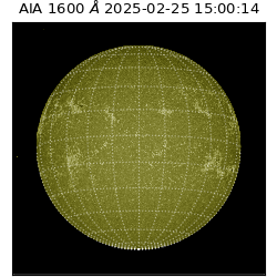 saia - 2025-02-25T15:00:14.129000