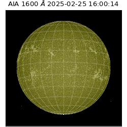 saia - 2025-02-25T16:00:14.126000