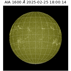 saia - 2025-02-25T18:00:14.125000