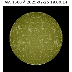saia - 2025-02-25T19:00:14.129000