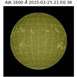 saia - 2025-02-25T21:00:38.133000