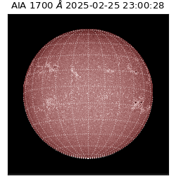 saia - 2025-02-25T23:00:28.717000