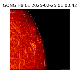 gong - 2025-02-25T01:00:42