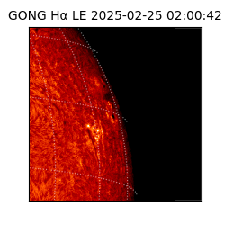 gong - 2025-02-25T02:00:42