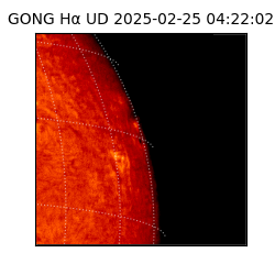 gong - 2025-02-25T04:22:02