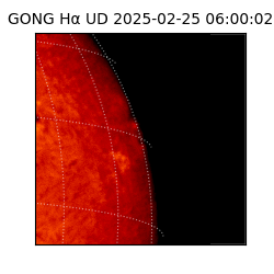 gong - 2025-02-25T06:00:02