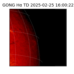 gong - 2025-02-25T16:00:22
