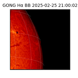 gong - 2025-02-25T21:00:02