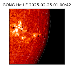 gong - 2025-02-25T01:00:42