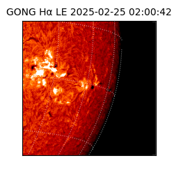 gong - 2025-02-25T02:00:42