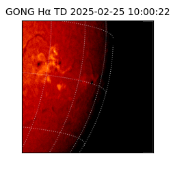 gong - 2025-02-25T10:00:22