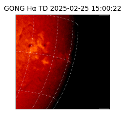 gong - 2025-02-25T15:00:22