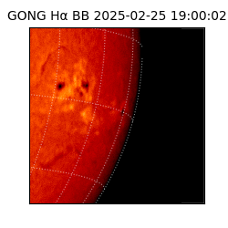 gong - 2025-02-25T19:00:02