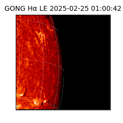 gong - 2025-02-25T01:00:42
