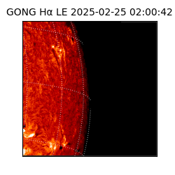 gong - 2025-02-25T02:00:42