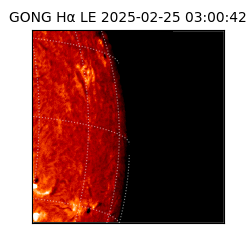 gong - 2025-02-25T03:00:42