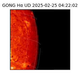 gong - 2025-02-25T04:22:02