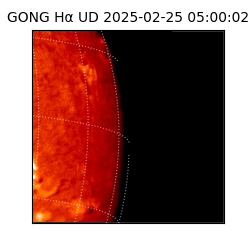 gong - 2025-02-25T05:00:02