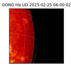 gong - 2025-02-25T06:00:02