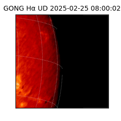 gong - 2025-02-25T08:00:02