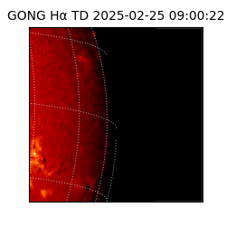 gong - 2025-02-25T09:00:22