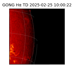 gong - 2025-02-25T10:00:22