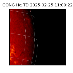 gong - 2025-02-25T11:00:22