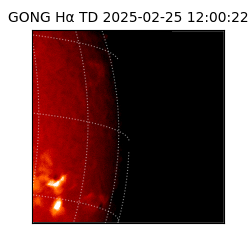 gong - 2025-02-25T12:00:22