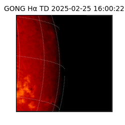 gong - 2025-02-25T16:00:22