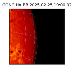gong - 2025-02-25T19:00:02