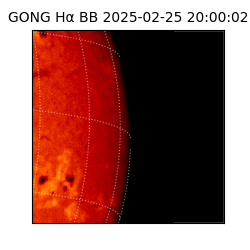gong - 2025-02-25T20:00:02