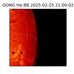 gong - 2025-02-25T21:00:02