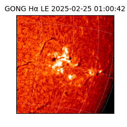 gong - 2025-02-25T01:00:42