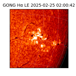 gong - 2025-02-25T02:00:42