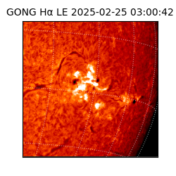 gong - 2025-02-25T03:00:42