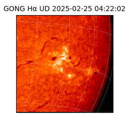 gong - 2025-02-25T04:22:02