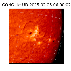 gong - 2025-02-25T06:00:02