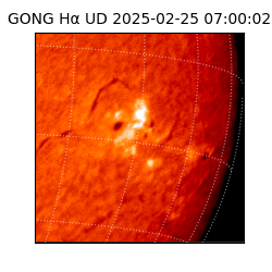 gong - 2025-02-25T07:00:02