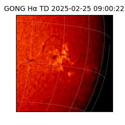 gong - 2025-02-25T09:00:22
