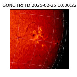 gong - 2025-02-25T10:00:22