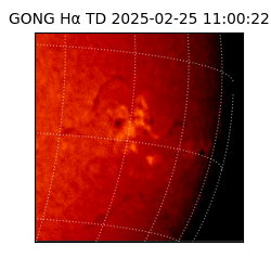 gong - 2025-02-25T11:00:22