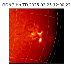 gong - 2025-02-25T12:00:22