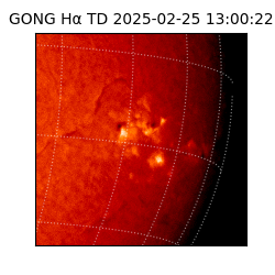 gong - 2025-02-25T13:00:22